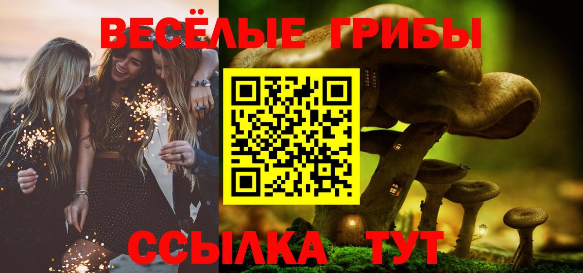 Мурино  КОКАИН  МЕФ   Вход с VPN  Канабис 